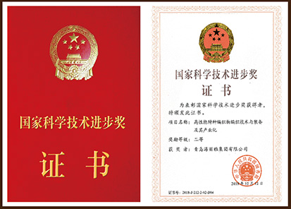 國家科學(xué)技術(shù)進(jìn)步獎(jiǎng)